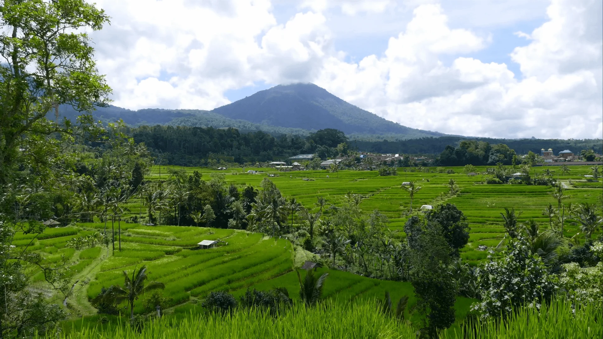 Pemandangan Desa